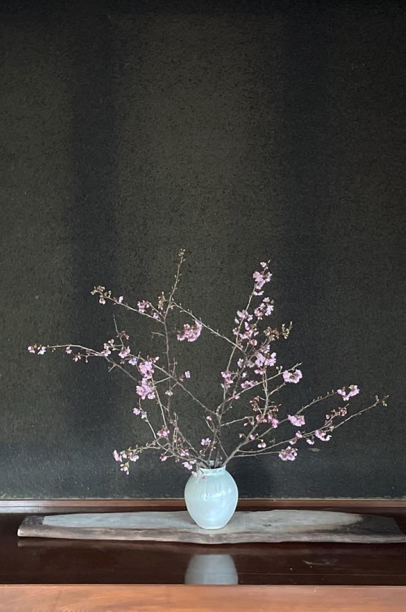 生花教室で使う花「桜」