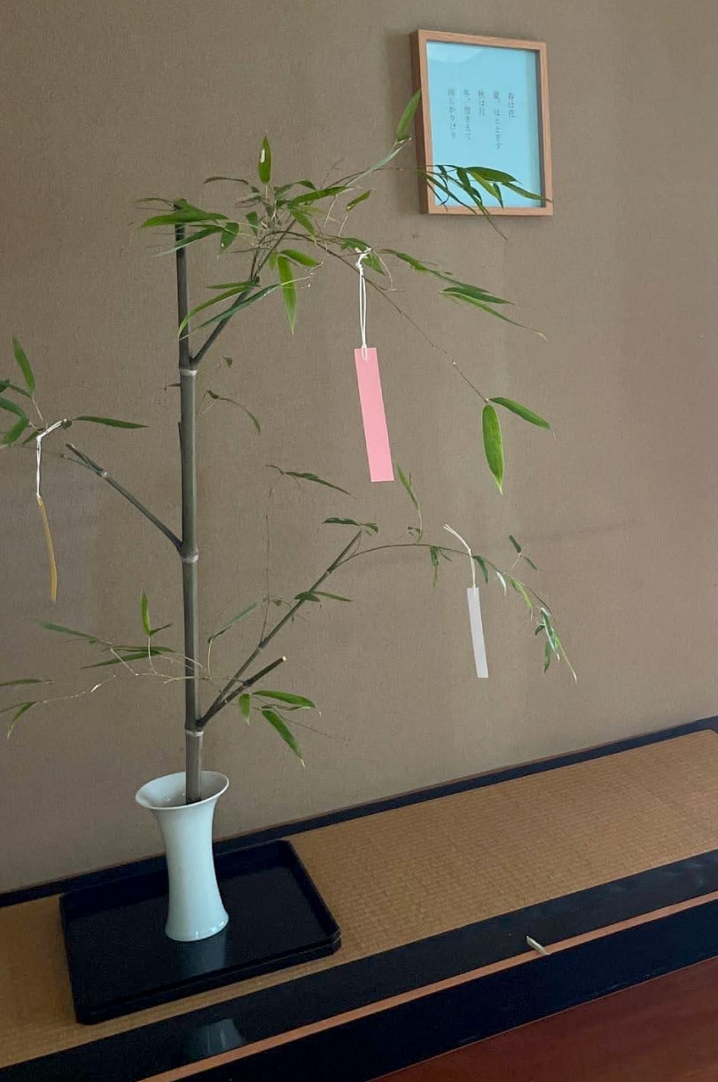 いけはな教室で使う花「青竹」